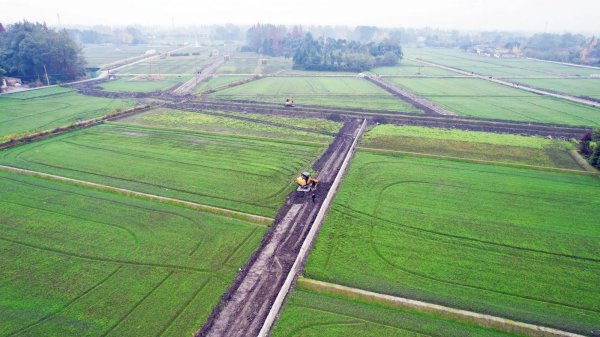 九游体育官网登录入口该公司就在金陵社区、仙鹤社区流转地盘1500余亩-九游体育「中国」官方网站 登录入口 IOS/安卓通用版/手机app下载