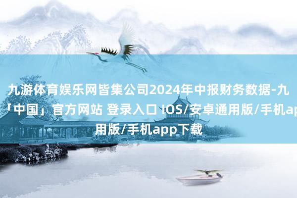 九游体育娱乐网皆集公司2024年中报财务数据-九游体育「中国」官方网站 登录入口 IOS/安卓通用版/手机app下载