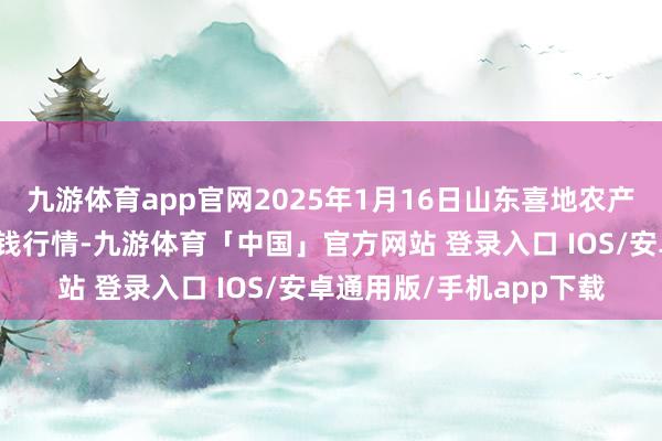 九游体育app官网2025年1月16日山东喜地农产物市集措置有限公司价钱行情-九游体育「中国」官方网站 登录入口 IOS/安卓通用版/手机app下载