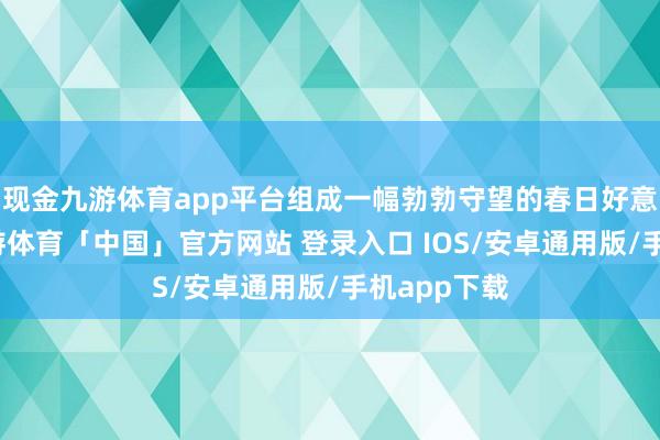 现金九游体育app平台组成一幅勃勃守望的春日好意思景图-九游体育「中国」官方网站 登录入口 IOS/安卓通用版/手机app下载