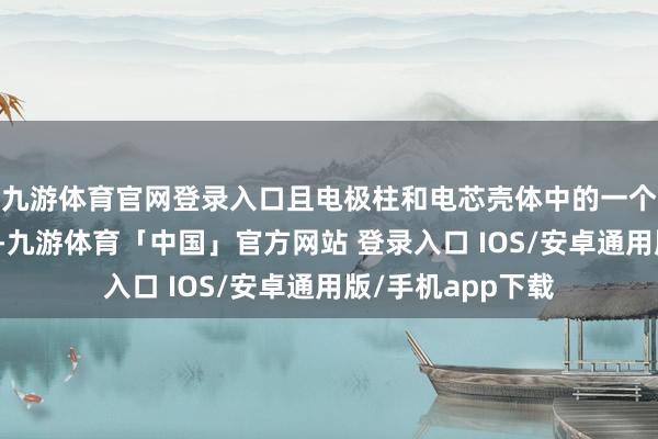 九游体育官网登录入口且电极柱和电芯壳体中的一个与正极耳电邻接-九游体育「中国」官方网站 登录入口 IOS/安卓通用版/手机app下载