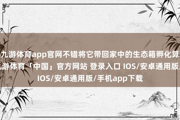 九游体育app官网不错将它带回家中的生态箱孵化算作宠物饲养-九游体育「中国」官方网站 登录入口 IOS/安卓通用版/手机app下载
