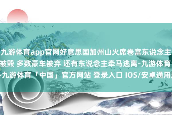 九游体育app官网好意思国加州山火席卷富东说念主区，多位好莱坞明星豪宅被毁 多数豪车被弃 还有东说念主牵马逃离-九游体育「中国」官方网站 登录入口 IOS/安卓通用版/手机app下载